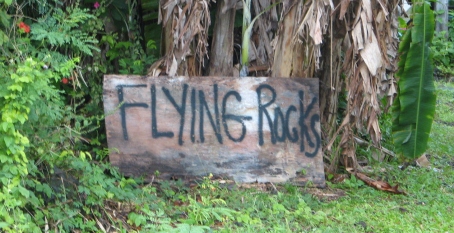 Flying Rocks